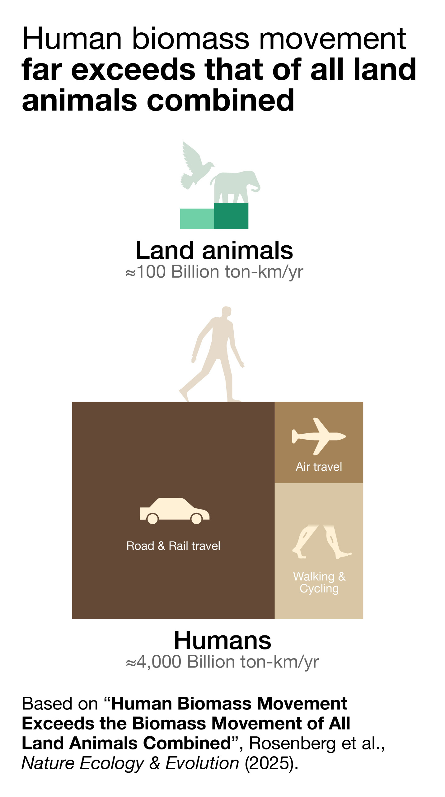Human foot traffic far outweighs the movement of all land and air animals, and cars and places account for even more. 